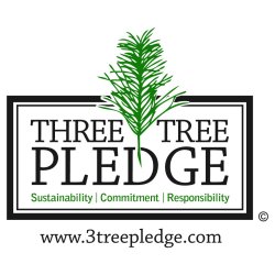 Fatwood optndingspinde