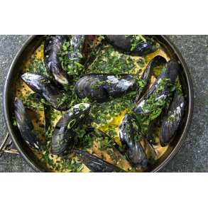 Stegest til Pizzeria Pronto