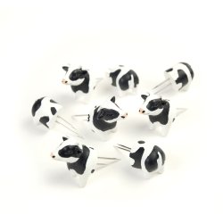 Majskolbeholdere, Ko eller Gris