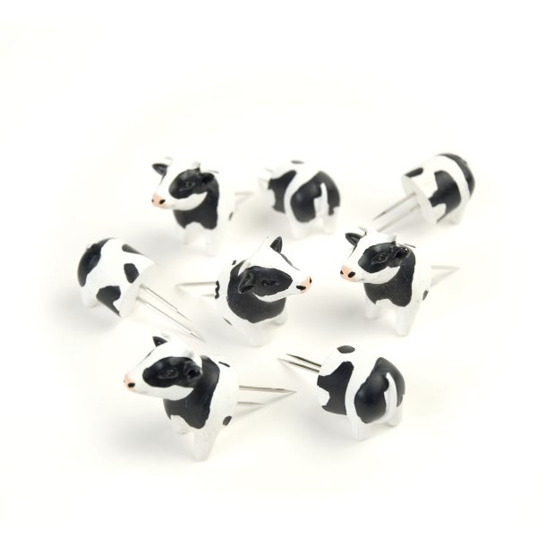 Majskolbeholdere, Ko eller Gris